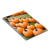 ファーマーズマーケットの販売のためのカボチャ ノートブック (右側)