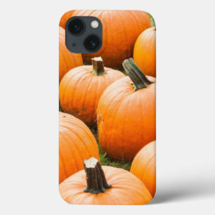 ファーマーズマーケットの販売のためのカボチャ iPhone 13ケース