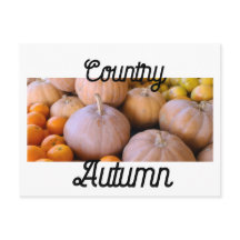 ファーマーズマーケットパンプキンズカントリー秋