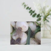 ファーマーズマーケット玉 ポストカード (スタンド正面)