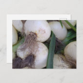 ファーマーズマーケット玉 ポストカード (正面/裏面)