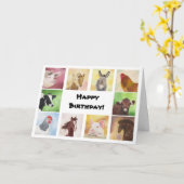 ファーミヤードアニマルバースデーカード カード (黄色い花)