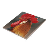 ファーミヤードドメスティックルースター タイル (側面)