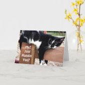 ファームおもしろい猫フォトグリーティングカード カード (黄色い花)