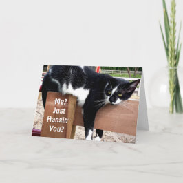 ファームおもしろい猫フォトグリーティングカード カード
