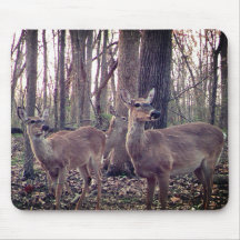 ファームで実行