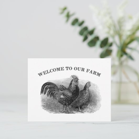 ファームのヴィンテージ鶏と鶏肉へようこそ ポストカード (スタンド正面)