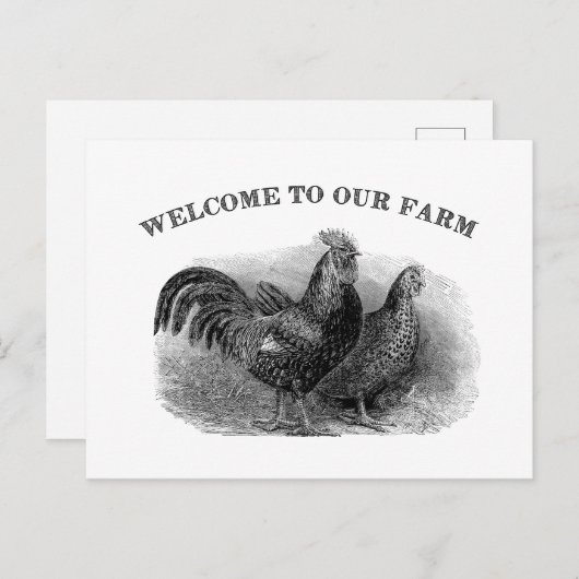 ファームのヴィンテージ鶏と鶏肉へようこそ ポストカード (正面/裏面)