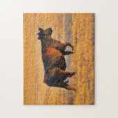 ファームアかわいらしートアンガスカウアットサンセットパズル ジグソーパズル (縦)