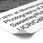 ファームアットモンテスマヒルズバイアンセルアダムス ポスター (角)