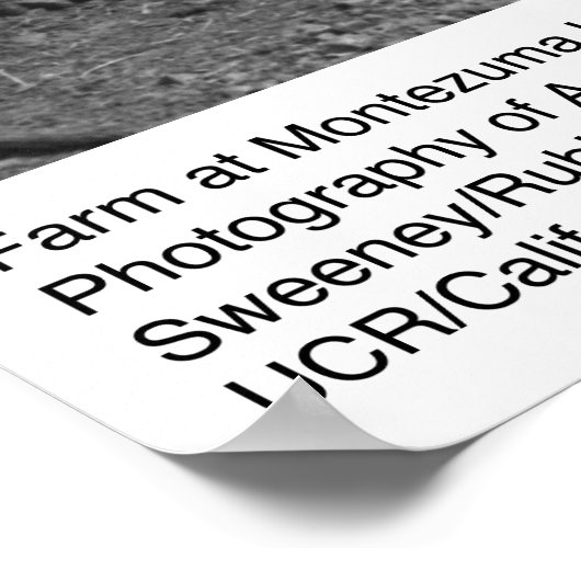 ファームアットモンテスマヒルズバイアンセルアダムス ポスター (角)