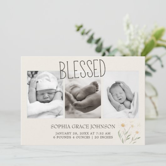 ファームアニマルズメドウフレンズベビー発表 招待状 (スタンド正面)