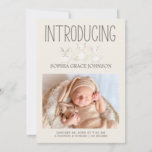 ファームアニマルズメドウフレンズベビー発表 招待状 (正面)