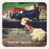 ファームアニマルフレンズパーソナライズされた自然 スクエアシール (正面)