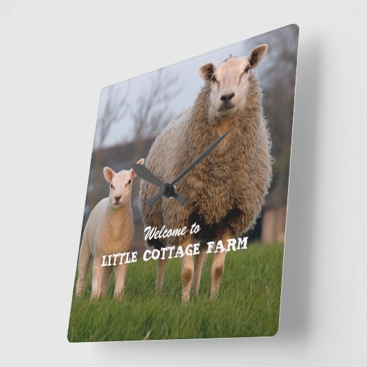 ファームウェルカムシープファミリーカスタム スクエア壁時計 (傾斜)