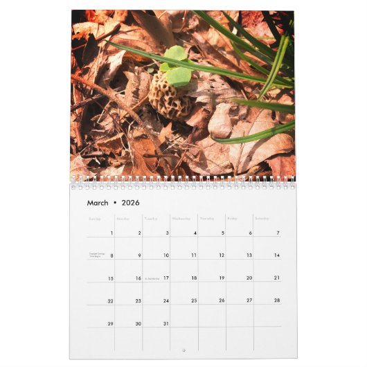 ファームカントリーカレンダー カレンダー (3月 2026)