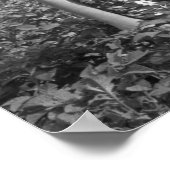 ファームガールズ， 1939.ヴィンテージ写真 ポスター (角)