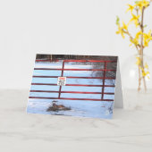 ファームゲート バレンタインカード カード (黄色い花)