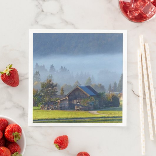 ファームシーン3 (インサイチュ)