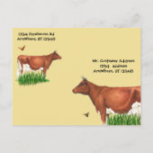 ファームツアー招待状ゲルンジーカウズ インビテーションポストカード (裏面)