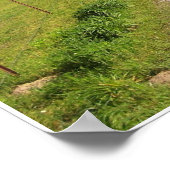 ファームドライブウェイ ポスター (角)