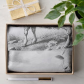 ファームハウスヒツジティッシュペーパー 薄葉紙 (ギフト)