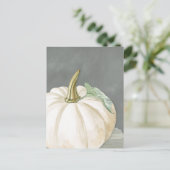 ファームハウスホワイト秋カボチャ ポストカード (スタンド正面)