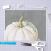 ファームハウスホワイト秋カボチャ 薄葉紙 (クラフト)