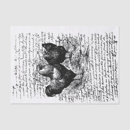 ファームハウスロースターヴィンテージデコップ 薄葉紙 (正面)