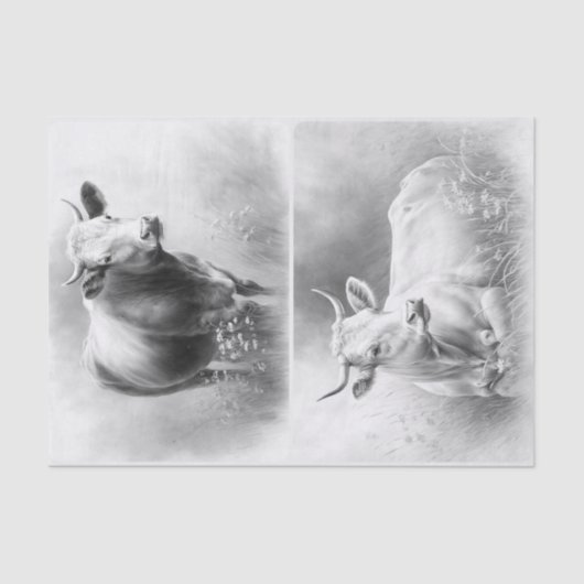 ファームハウスワシズ 薄葉紙 (正面)