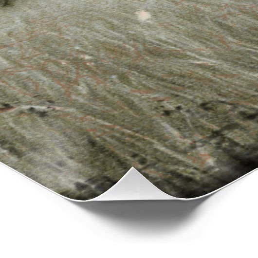 ファームハウス狩りエフェメラ ポスター (コーナー)