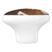 ファームハウス素朴カウボーイウェスタンカントリーカウハイド セラミックノブ (側面)