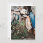 ファームハウス素朴トラッククリスマスホリデーカード シーズンカード (裏面)