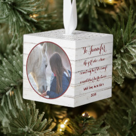 ファームハウス素朴ミニマリストホースペット2写真 キューブオーナメント