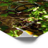 ファームハフランスのウインドウシャッターのポスター ポスター (角)