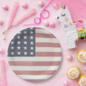 ファームハモダンウス素朴アメリカ国旗 ペーパープレート (パーティー)