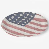 ファームハモダンウス素朴アメリカ国旗 ペーパープレート (アングル)