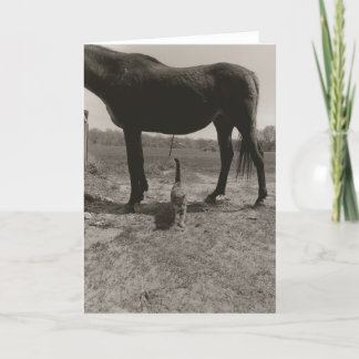 ファームフレンドII カード