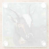 ファームライフグレーヤギ ガラスコースター (裏面)