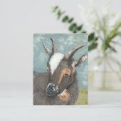 ファームライフグレーヤギ ポストカード (スタンド正面)