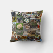 ファームライフ・フォト・コラージュ、 クッション (裏面)