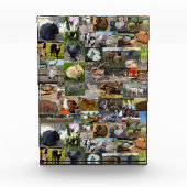 ファームライフ・フォト・コラージュ、 フォトブロック (正面)