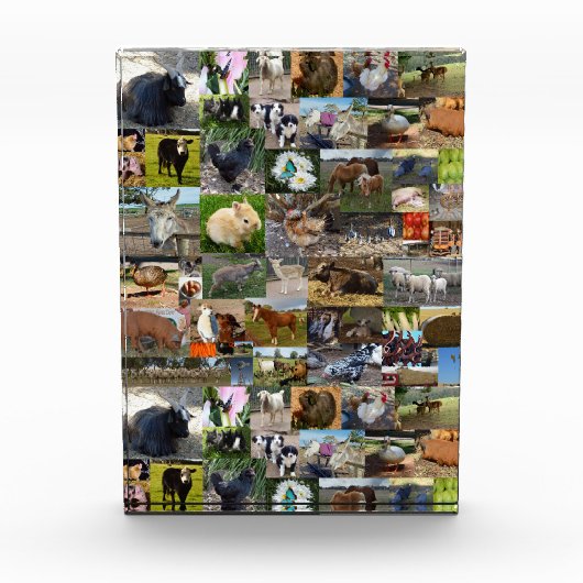 ファームライフ・フォト・コラージュ、 フォトブロック (正面)