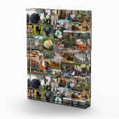 ファームライフ・フォト・コラージュ、 フォトブロック (右)