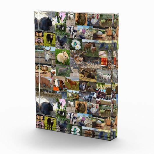 ファームライフ・フォト・コラージュ、 フォトブロック (右)