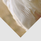 ファーム内のホワイトカウフィールドの切り離し 薄葉紙 (詳細)