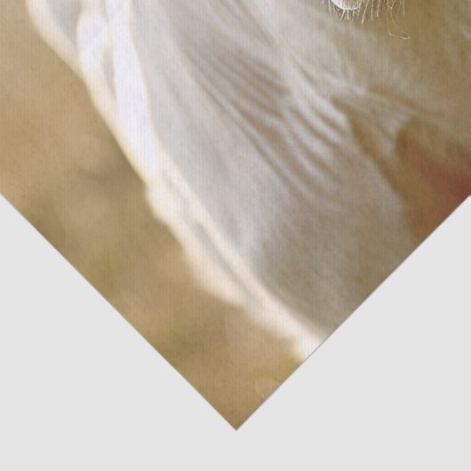 ファーム内のホワイトカウフィールドの切り離し 薄葉紙 (詳細)