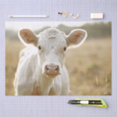 ファーム内のホワイトカウフィールドの切り離し 薄葉紙 (クラフト)