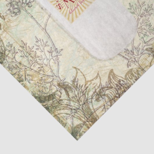 ファーム新鮮な黒n白い牛と太陽光線デコページ 薄葉紙 (詳細)