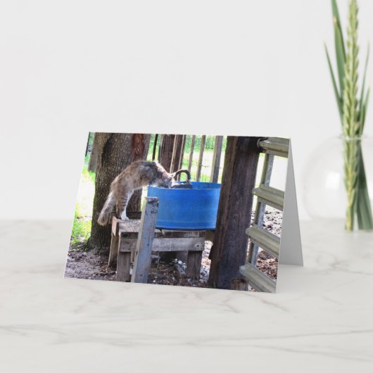 ファーム猫グリーティングカード カード (正面)